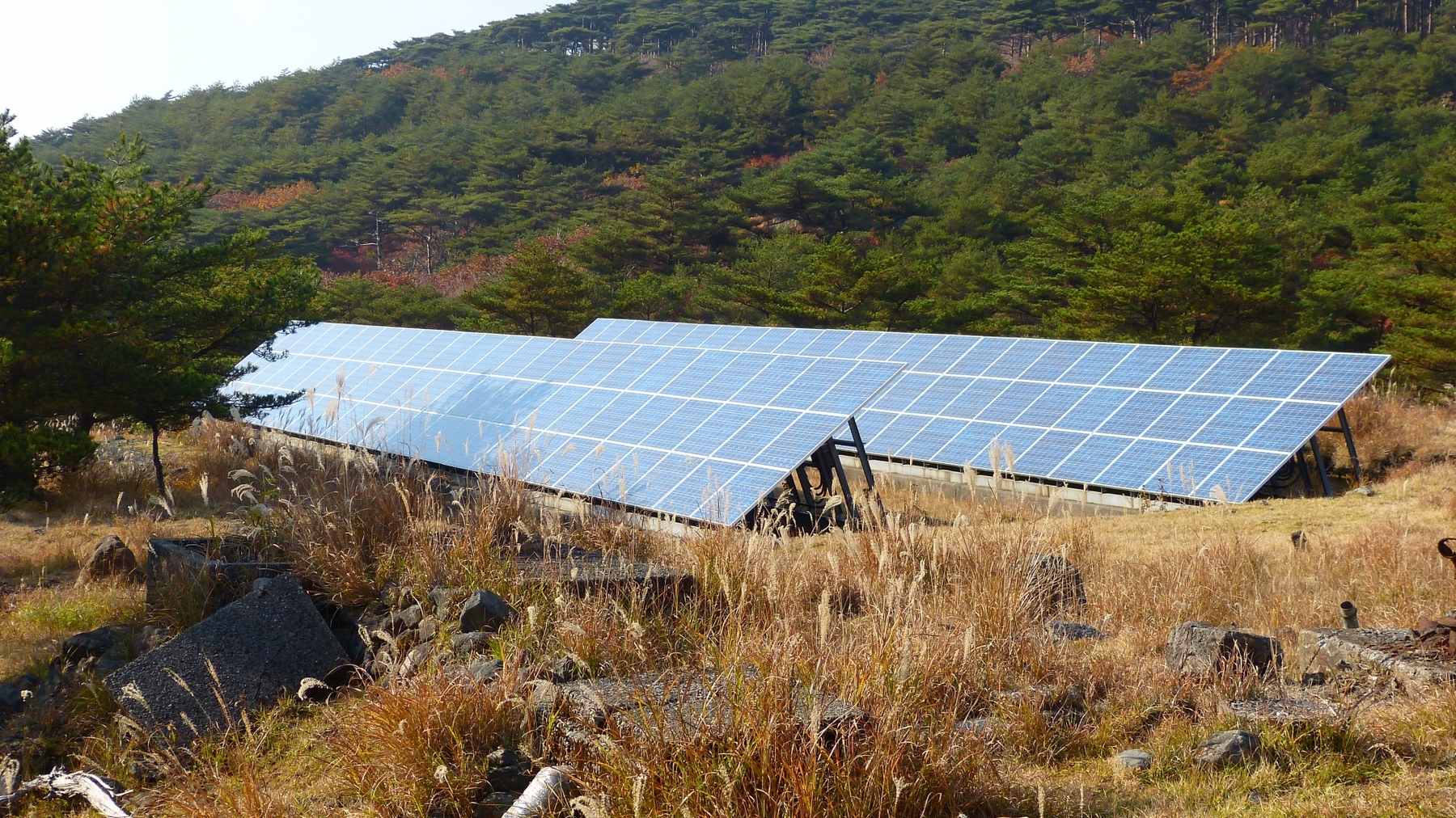 太陽光発電って本当にエコなの そのギモンを徹底的に解明 最安値発掘隊コラム